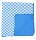 Blue Checks Blanket